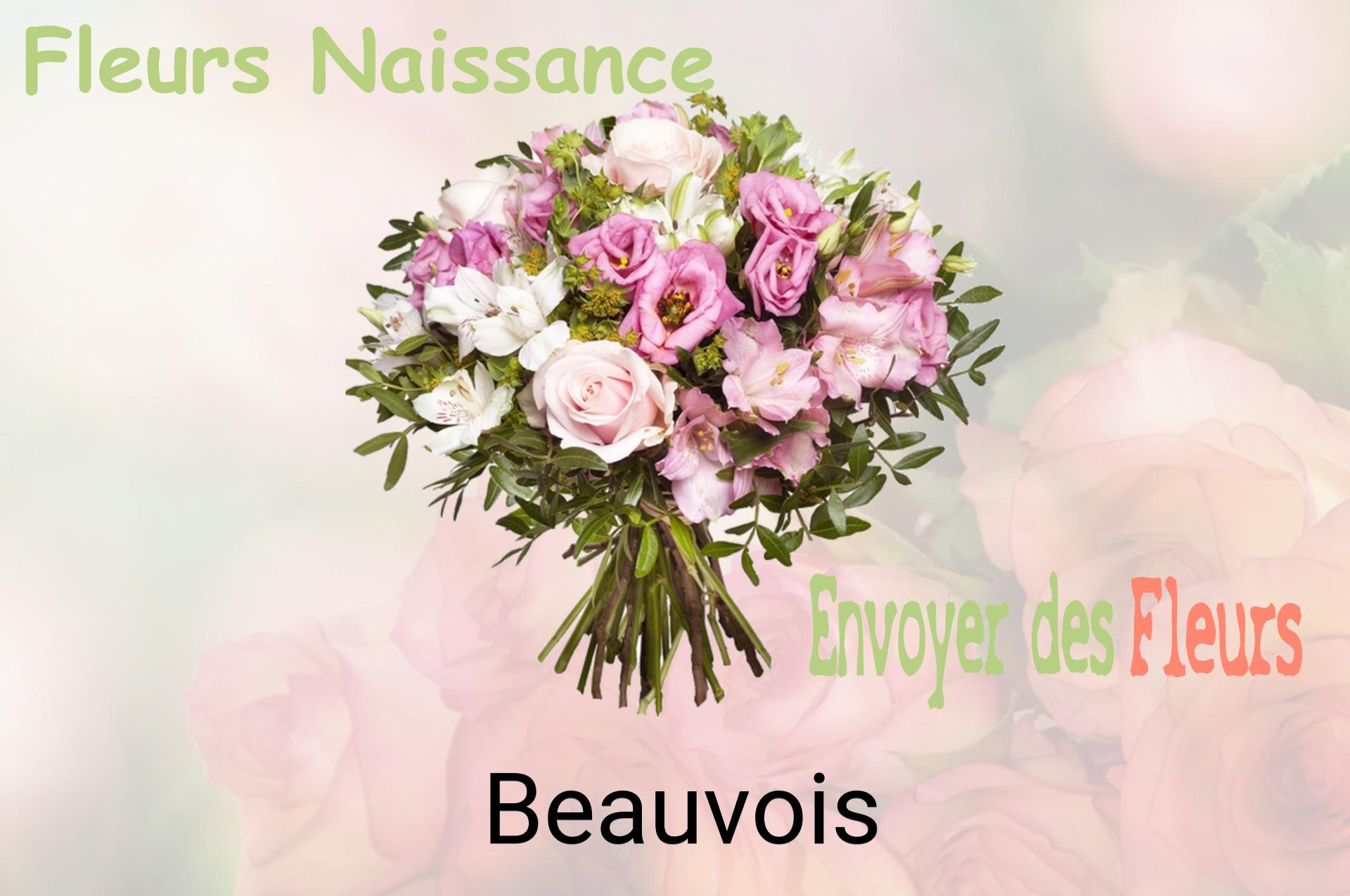 Bouquet de fleurs de naissance livré à Beauvois